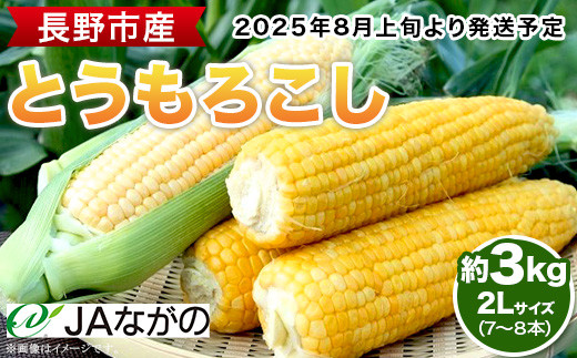 
J1062長野市産とうもろこし 2L 約3kg（7～8本）
