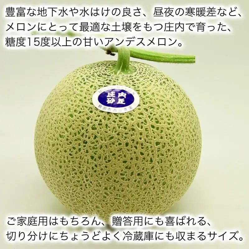 【令和8年産】庄内砂丘メロン 約5kg（3～5個入り）アンデスメロン サンエイファーム　| メロン めろん 5キロ フルーツ 果物 くだもの 夏 旬 デザート 産地直送 山形 鶴岡 庄内 庄内産 東北