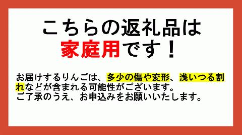 りんご 農家応援企画 冬のりんご 【 12月 】 訳あり ? 家庭用 3kg ※2022年12月より順次発送予定 ※沖縄および離島への配送不可 長野県 飯綱町 [1115]