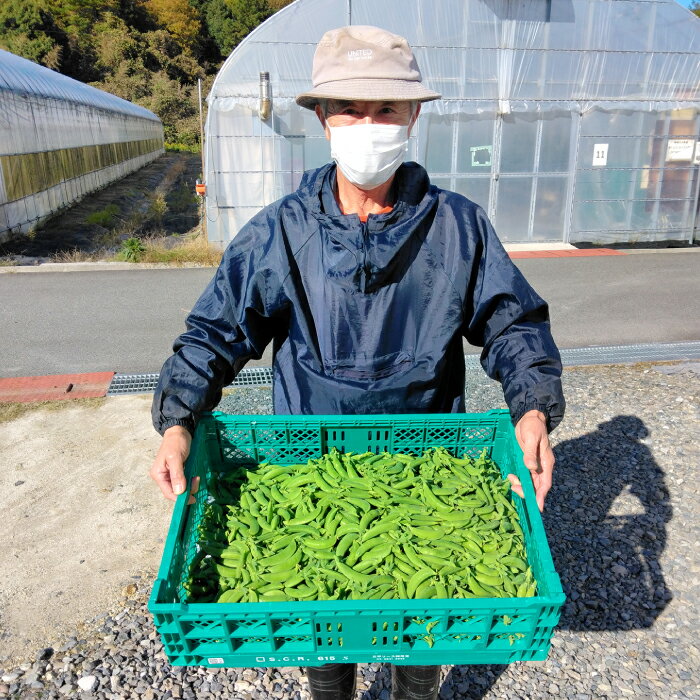 【ふるさと納税】美郷農園 スナップエンドウ 1kg 野菜 エンドウ豆 えんどう豆 おつまみ 12月～5月発送
