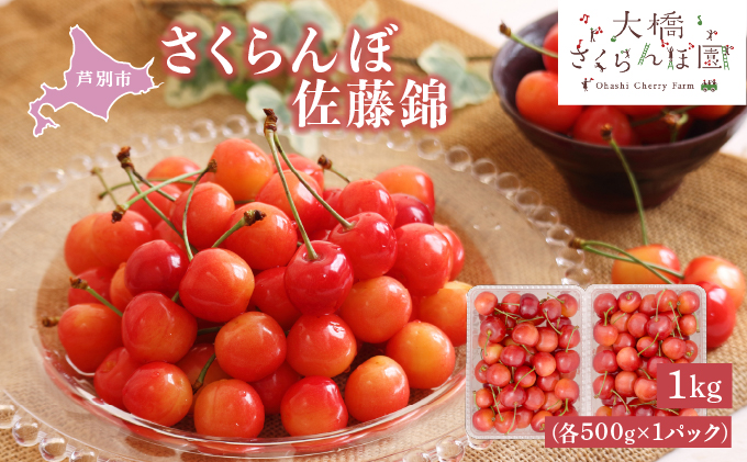 【 先行受付 】さくらんぼ 佐藤錦 1kg (500g×2パック) チェリ