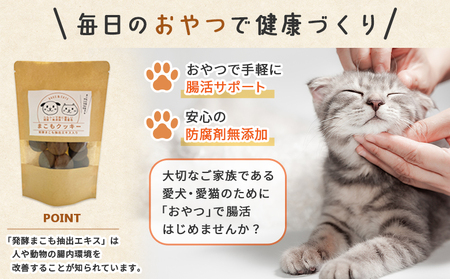 ＜国富町産 まこもクッキー300g(100g×3袋)＞翌月末迄に順次出荷 【 100g 国産 防腐剤無添加 無着色 腸活 マコモ 犬 猫 おやつ ペット ペットフード 植物性食品 真菰 まこも マコモ