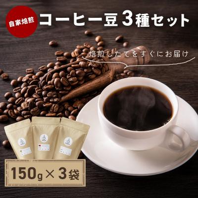 ふるさと納税 伊豆市 【kotoコーヒー】自家焙煎コーヒー豆各150g3種セット