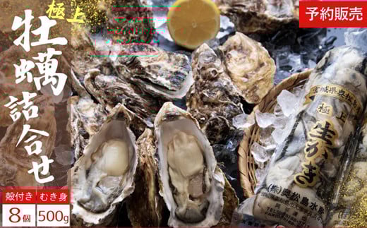 牡蠣 奥松島産 極上 牡蠣 宮城県【2025年シーズン開始】 11月中旬頃から順次発送予定  極上カキ 詰合せ むき身500g1本＋殻付きカキ8個 かき カキ 殻付き 剥き身