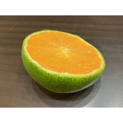 和歌山県産温州みかん　5kg【1518984】