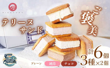 テリーヌサンド フロマージュ 6個 3種×2個 ドリームチーム