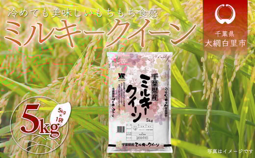 令和7年産 千葉県産「ミルキークイーン」5kg / お米 5キロ 千葉県産 大網白里市 ミルキークイーン 米 精米 こめ A050