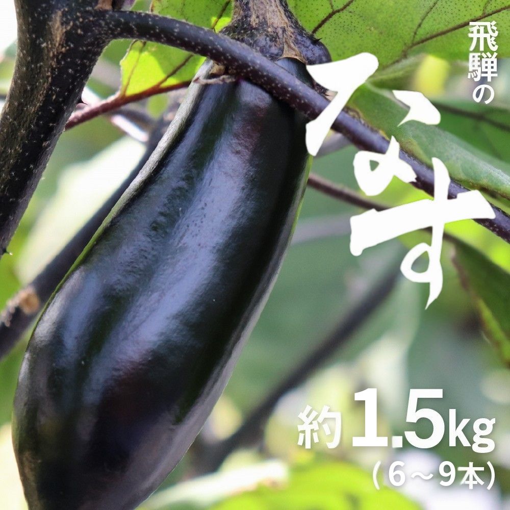 【ふるさと納税】《先行予約》【6月下旬〜10月中旬発送】飛騨のなす 約1.5kg(6～9本) 茄子 ナス なす 産地直送 夏野菜 野菜 [Q791_u]