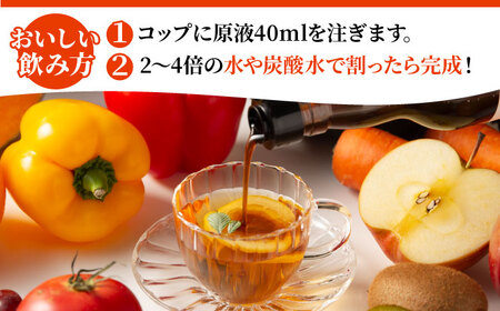 【信頼/実績の酵素ドリンク！】優光泉ハーフボトル550ml×2本セット（スタンダード/梅） / 酵素 栄養 健康志向 美容食品 / 佐賀県 / 株式会社エリカ健康道場[41AABL008]
