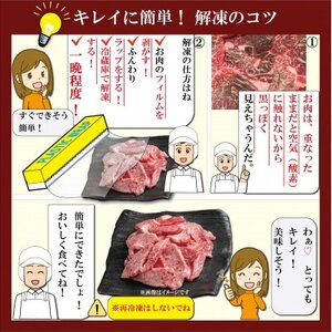 神戸牛 すき焼き・切り落とし肉セット 計900g KKWS3 【2026年4月より順次発送】【配送不可地域：離島】【1682984】