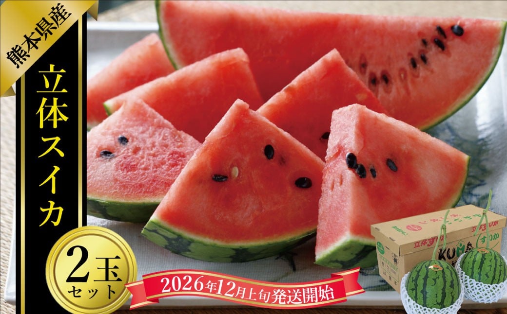 
            立体スイカ（2玉入り） 【2026年12月上旬発送開始】 スイカ すいか 立体すいか 果物 くだもの フルーツ 果汁 果実 2玉 贈り物 熊本県 熊本県産
          