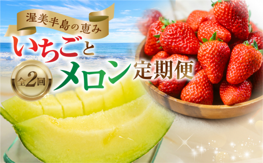 メロン・イチゴ定期便 全2回　めろん いちご 苺 果物 フルーツ 愛知県 田原市