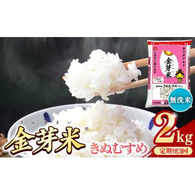 ふるさと納税 安来市 【毎月定期便】BG無洗米・金芽米きぬむすめ 2kg全3回
