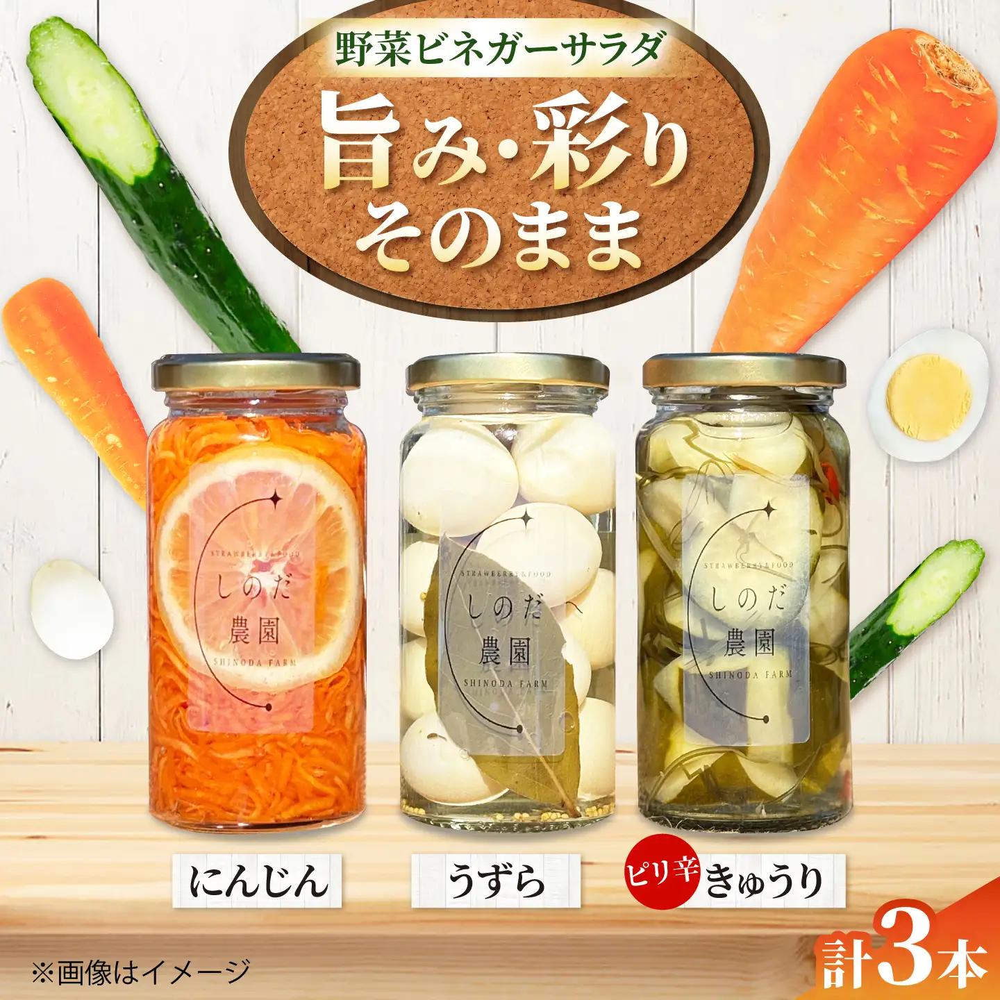 野菜ビネガーサラダ 3本（うずら・ピリ辛きゅうり・にんじん） 常備菜 おかず 愛西市 / しのだ農園-SHINODA FARM-[AECE011]