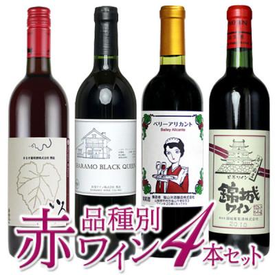 ふるさと納税 甲州市 品種別赤ワイン4本セット