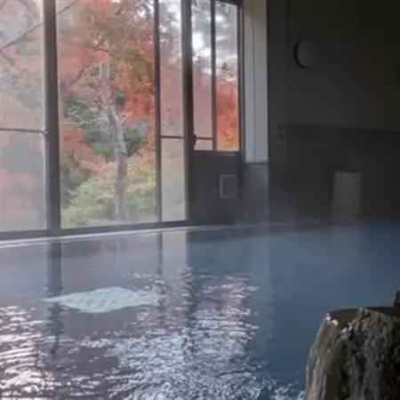 山梨県南部町秘湯「奥山温泉」日帰り入浴券(1名様分)【8枚】【1619555】