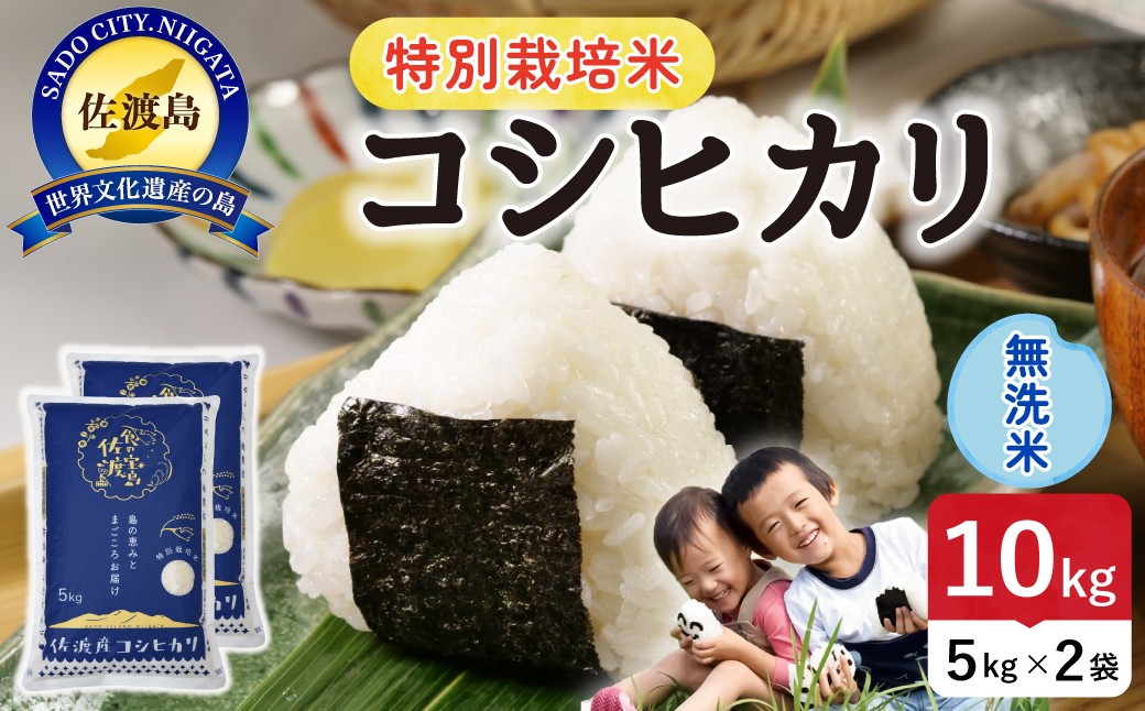 
                  佐渡島産コシヒカリ 無洗米10kg（5kg×2袋）令和7年産 特別栽培米 農薬・化学肥料5割減 単一原料米 | 新潟県産コシヒカリ 新潟産コシヒカリ 佐渡産コシヒカリ 新潟県産こしひかり 佐渡産こしひかり お米 米 こしひかり 無洗米 むせんまい 精米 おこめ コメ 10キロ にいがた さど 新潟県 佐渡市
                