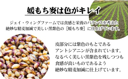 もち麦 媛もち麥 雑穀 愛媛県産 もち麦【1kg×3袋】