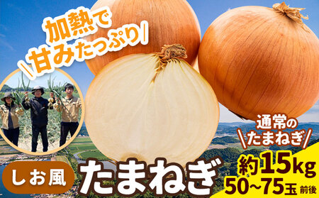 【2025年先行予約分】しお風たまねぎ 約15kg《2025年6月上旬-6月末頃出荷(土日祝除く)》 岡山県 笠岡市｜玉ねぎ たまねぎ 野菜 青果物 岡山県 笠岡市｜玉ねぎたまねぎ野菜玉ねぎたまねぎ野菜玉ねぎたまねぎ野菜玉ねぎたまねぎ野菜玉ねぎたまねぎ野菜玉ねぎたまねぎ野菜玉ねぎたまねぎ野菜玉ねぎたまねぎ野菜玉ねぎたまねぎ野菜玉ねぎたまねぎ野菜玉ねぎたまねぎ野菜玉ねぎたまねぎ野菜玉ねぎたまねぎ野菜玉ねぎたまねぎ野菜玉ねぎたまねぎ野菜玉ねぎたまねぎ野菜玉ねぎたまねぎ野菜玉ねぎたまねぎ野菜玉ねぎたまねぎ野菜玉ね