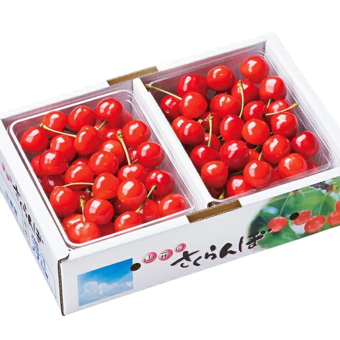 【ふるさと納税】【期間限定発送】 さくらんぼ 置賜産 佐藤錦 特秀 L〜2L バラ詰 1kg [tk06ays870006 山形県 高畠町 JA山形おきたま] サクランボ チェリー 山形 果物 フルーツ くだもの