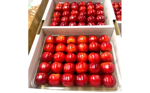 さくらんぼ（紅秀峰）４００ｇ×２パック　２Ｌ　並び詰め　0049-2605