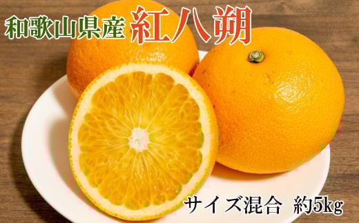 【2026年発送先行予約】【希少品】和歌山県産紅八朔約5kg（サイズ混合）※2026年1月下旬～2026年2月中旬ごろ順次発送【tec944A】