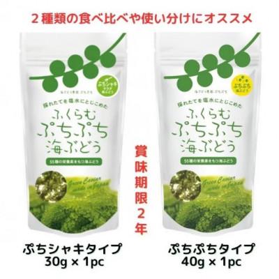ふるさと納税 糸満市 ふくらむぷちぷち 海ぶどう 塩水タイプ 70g 2種 各1パック お試しセット 食べ比べ |  | 01
