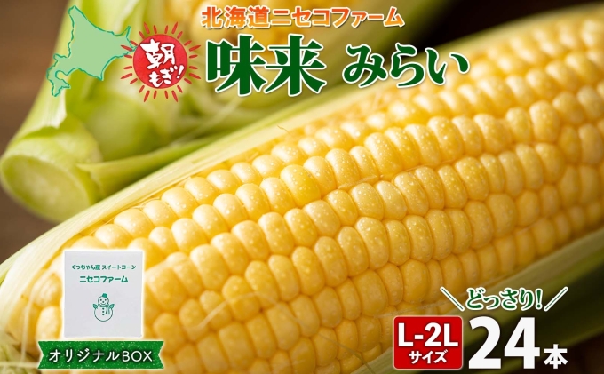 【 2026年 先行予約 】 北海道産 とうもろこし 味来 計24本 L-2L サイズ混合 大きめ みらい 旬 朝採り 新鮮 トウモロコシ 甘い 夏野菜 とうきび  ハウス栽培 ハウス お取り寄せ 産地直送 野菜 しりべしや 送料無料
