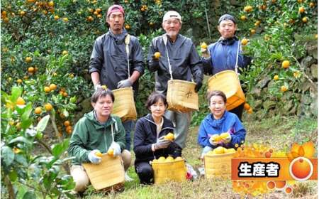 【家庭用】 はるみ 1kg+250g（痛み補償分）光センサー選別 / 訳あり 有田 みかん 柑橘 蜜柑 くだもの 果物 果実 フルーツ 和歌山 デコポン の姉妹品種 ※2月上旬～3月下旬頃に順次発送予