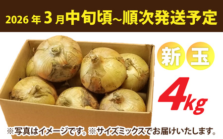 【先行予約】新玉フルーツ玉ねぎ4kg【サイズ色々】※2026年3月中旬頃より順次発送予定