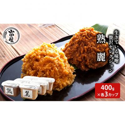 ふるさと納税 新潟市 生きている味噌贅沢セレクション400g×各3カップ[54071075]