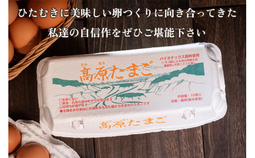 [定期便／6ヶ月] 高原名水卵 60個×6か月連続 豊かな自然で育ったアスタキサンチン含有の高原名水卵【感動の甘さと濃さ】｜こだわり卵 たまご タマゴ 玉子 生卵 鶏卵 高原養鶏場 矢板市産 