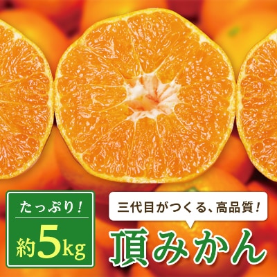三代目がつくる高品質【頂みかん】5kg【C31−16】【1042516】