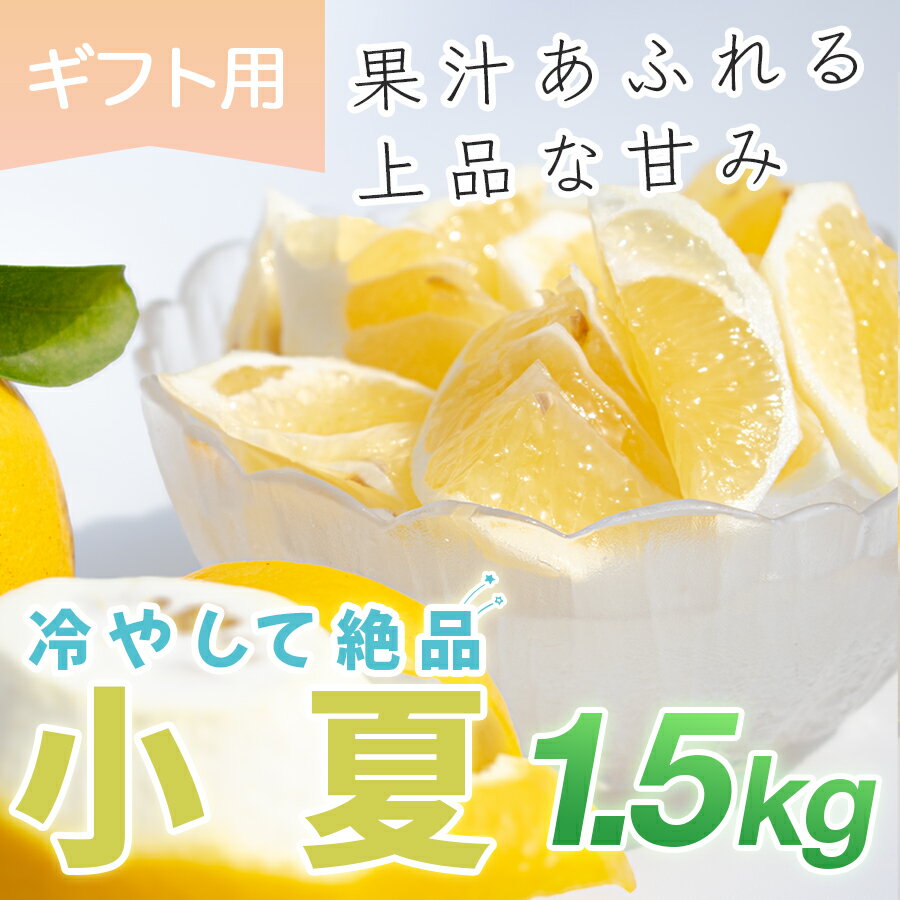 【ふるさと納税】小夏 1.5kg 贈答 ギフト用 日向夏 ニューサマーオレンジ 柑橘 みかん ノーワックス こなつ くだもの 果物 産直 旬の果物 お取り寄せ 産地直送 フルーツ 爽やか スッキリ 甘い 高知県 大月町産 コーラルフルーツ農場