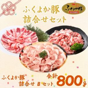 福岡県産ふくよか豚詰合せセットB【配送不可地域：離島】【1656356】