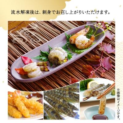 ふるさと納税 天草市 急速凍結車海老「金銀の車えび」1000g_S010-050 |  | 02
