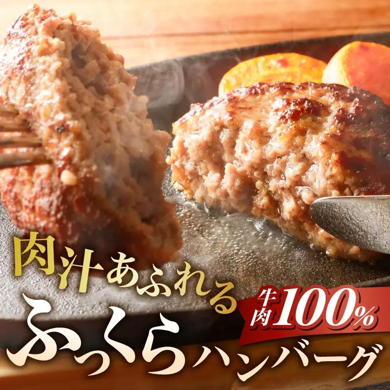あさくまデミハンバーグ詰め合わせ 電子レンジ加熱可能 冷凍 あさくま デミハンバーグ 詰め合わせ デミグラスソース ハンバーグ 国産玉ねぎ ステーキ専門店 食べ応え 手づくり感 王道ハンバーグ 牛肉ハ