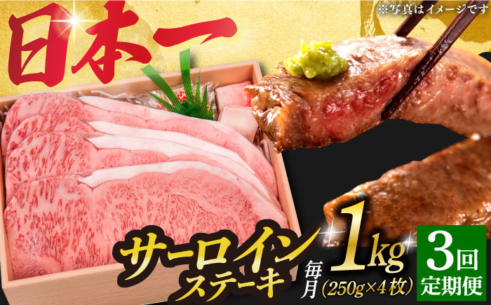 【3回定期便】 長崎和牛 A5ランク 特選 サーロインステーキ 4枚 計1kg 《小値賀町》【株式会社 OGAWA】 [DBJ015] 肉 和牛 黒毛和牛 サーロイン ステーキ A5 贅沢 [DBJ015]