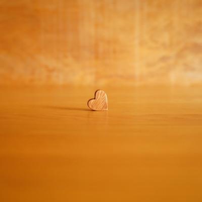 ふるさと納税 屋久島町 【屋久島の流木】屋久杉オブジェ　小