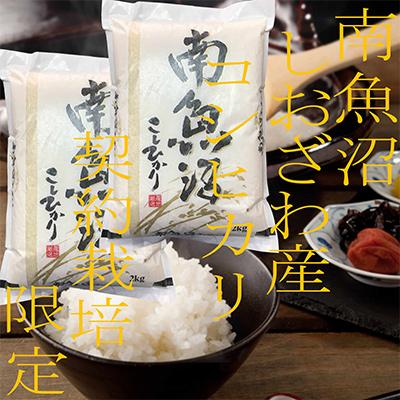 ふるさと納税 南魚沼市 【毎月定期便】契約栽培限定 南魚沼しおざわ産コシヒカリ 精米4Kg 全3回