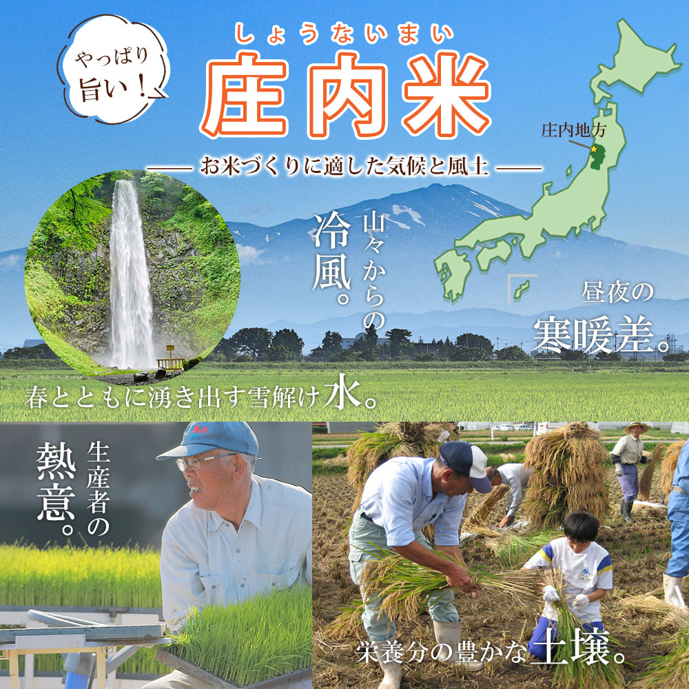 【12月～5月発送】無洗米 山形県産 はえぬき 5kg×6回【定期便6回】 [NM1-011(みかわ振興公社)] 【12月～5月発送】5kg×6回