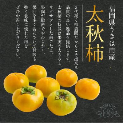 ふるさと納税 うきは市 特選太秋柿 3玉(約1kg) |  | 01