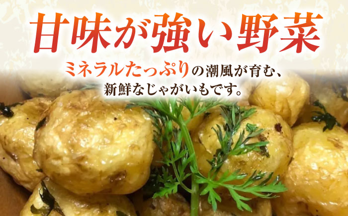 【先行予約】【数量限定】じゃがいも　きたあかり　約5kg（11月～12月）【鈴也ファーム】 [AKCE020]