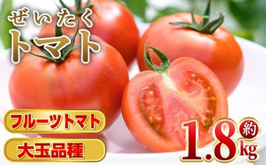 
                  P74002 ぜいたくトマト(約1.8kg)フルーツトマト 完熟 こだわり とまと トマト 大玉品種 夏野菜 野菜 産地直送【兼氏農園】
                