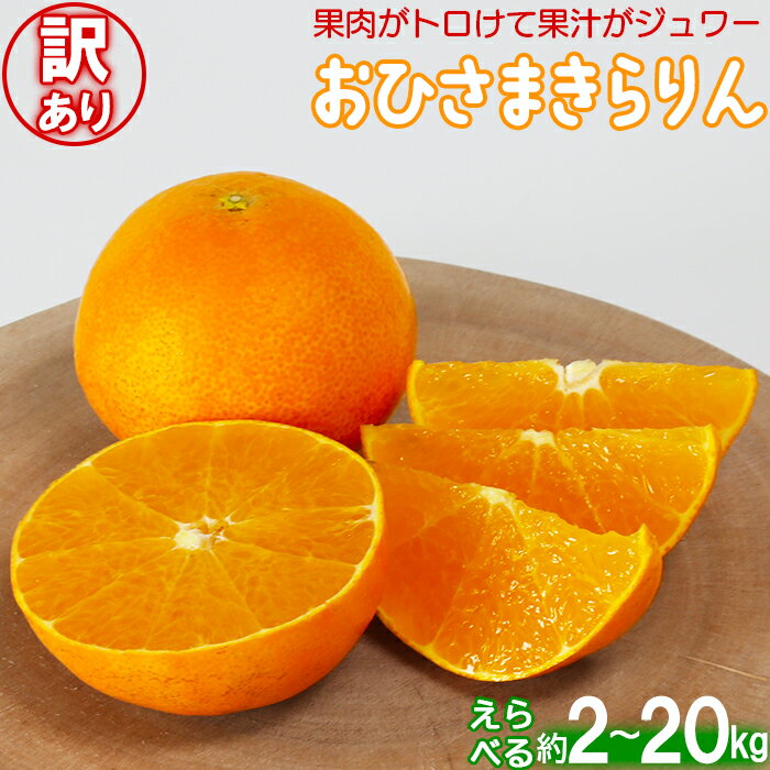 【ふるさと納税】【訳あり・優品】今村農園のおひさまきらりん 約2〜20kg 先行予約 果物 フルーツ 傷 不揃い＜107-704_7＞