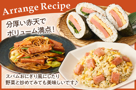 江木なうなう赤てんセット 3枚×8袋 おつまみ 練り物 ビール 天ぷら 赤天 あか天 ご当地 グルメ 小分け 取り寄せ 島根県 父の日 ピリ辛 肴 おかず つまみ グルメ かまぼこ【017_1004】