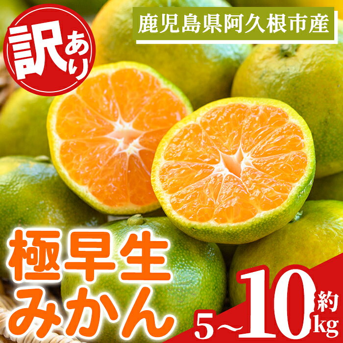 【ふるさと納税】＜内容量が選べる！＞ 訳あり！極早生みかん(約5～10kg) 国産 みかん 極早生 早生 柑橘 果物 フルーツ デザート 果実 期間限定 数量限定【古田果樹園】