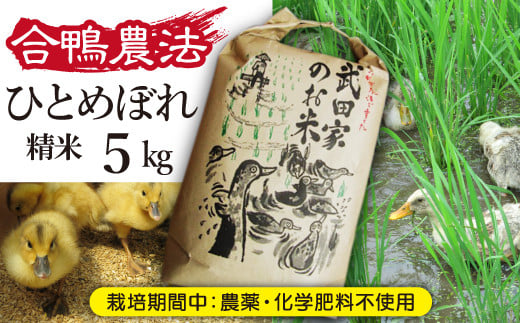 《令和６年産》武田家のお米 ひとめぼれ（精米）５kg＜合鴨農法＞【米農家 仁左ェ門】 / 米 白米 ５キロ アイガモ