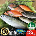 【ふるさと納税】【全4回定期便】五島列島直送！朝獲れ鮮魚セット2kg　鯛福丸水産/五島市[PDP013]