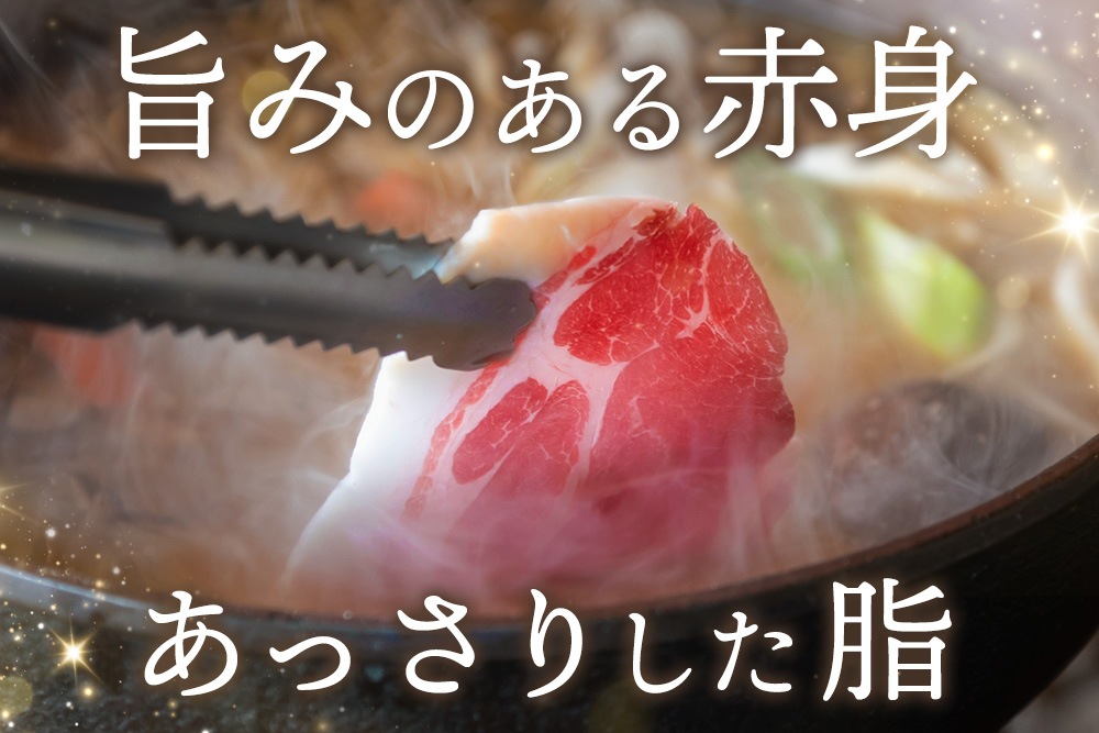 脊振ジビエ イノシシ肉バラエティセット 約1.4kg【脊振 ロース ばら 肩ロース ミンチ カレー 鍋 セット】(H059118)